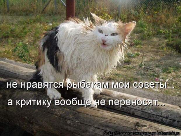 Весёлые котоматрицы - смешные кошки Весёлые котоматрицы - смешные кошки