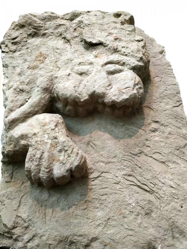 ГРИФОН И ЛЕВ в Укеке. История одной находки.