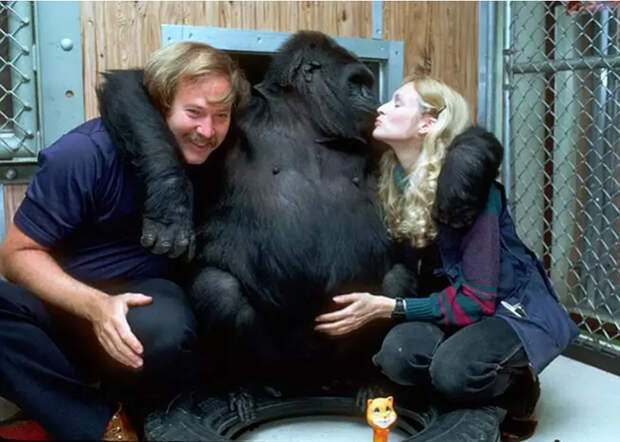 Коко обнимает фотографа Рона Кона и Фрэнсис Паттерсон.