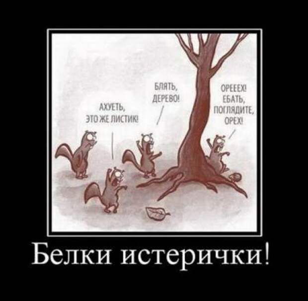 Ржачные демотиваторы и прикольные фотки.