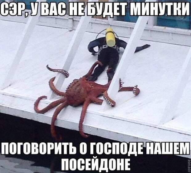 Позитив, юмор, смешные фотографии,прикол
