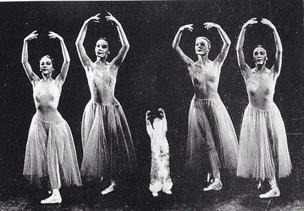 Кошка Джорджа Баланчина Мурка вместе с танцовщицами участвует в репетиции балета "Серенада", 1970-e история, картинки, фото