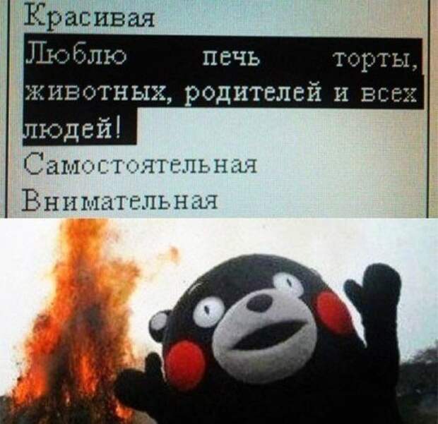 Весёлые фотомемы. Позитивная подборка Весёлые фотомемы. Позитивная подборка