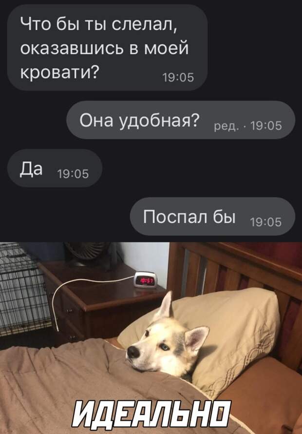 Смешные картинки 4 января 2021 года