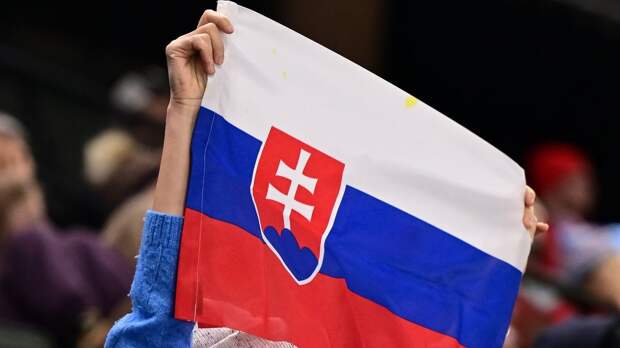 Венгрию и Словакию планируют пригласить принять участие в Кубке Первого канала