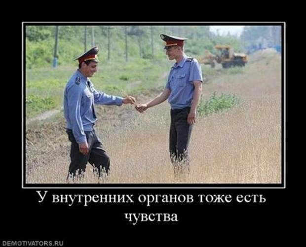 Демотиваторы смешные прямо тут и сейчас!