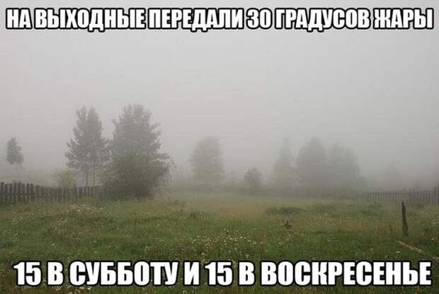 Прикольные картинки (93 фото) Прикольные картинки (93 фото)