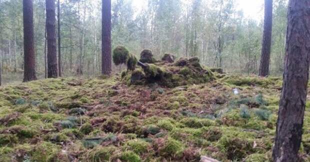 Трудно поверить, но тут БМП.