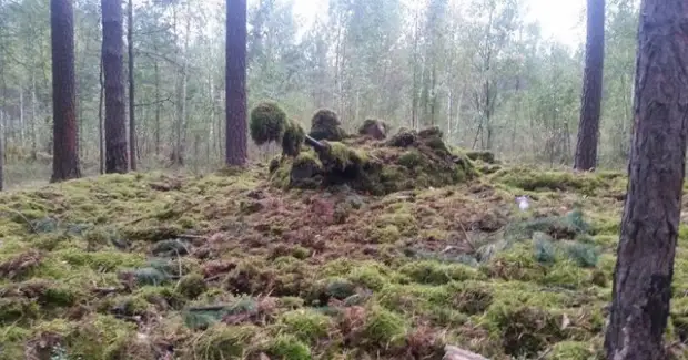 Трудно поверить, но тут БМП.