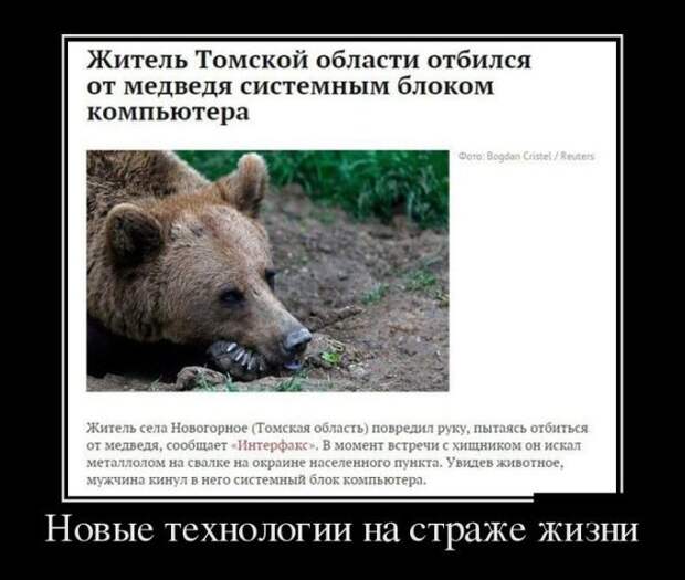 Подборка демотиваторов демотиватор, юмор