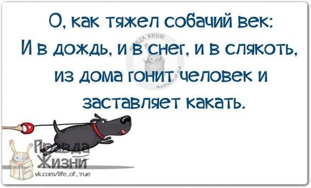 Из дома гонит человек и заставляет какать