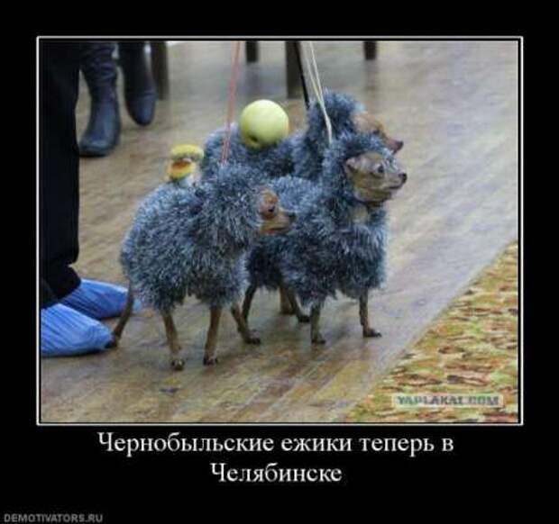 Фотки с прикольными надписями