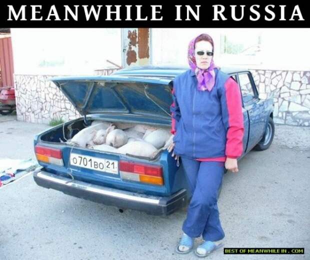 Тем временем в России... россия, умом не понять, фото, шок