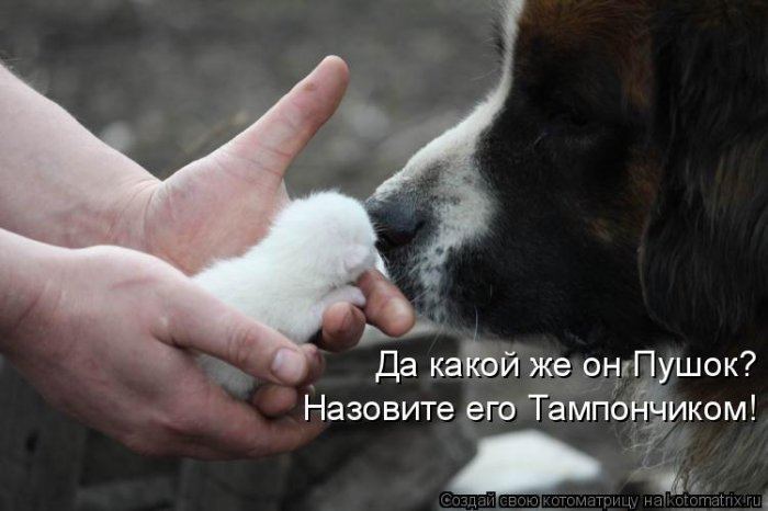 Мысли вслух :)