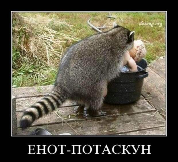 Множество прикольных демотиваторов на сайте.
