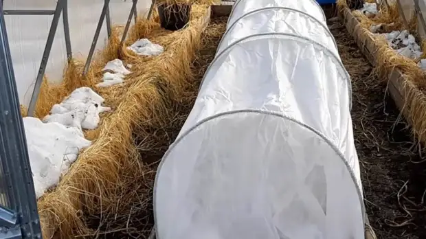 ������� ������ � ����� � ��������� ������ ������ � ���