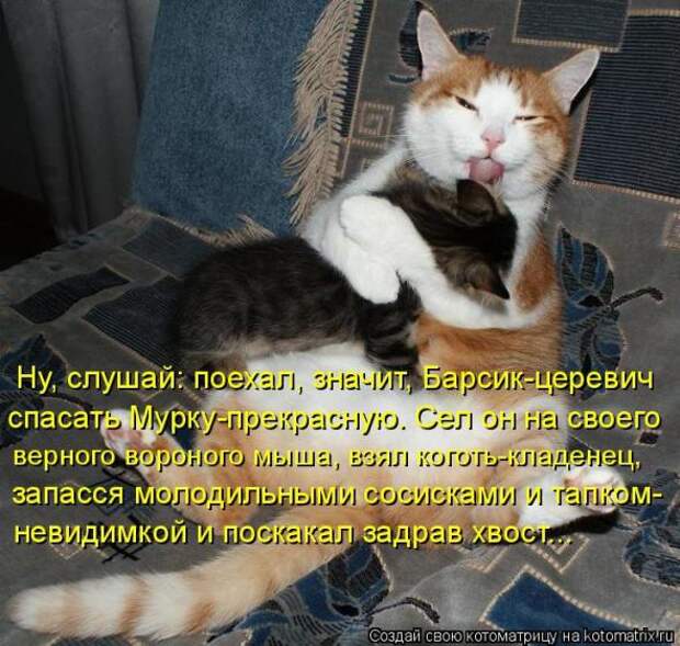 Котоматрица