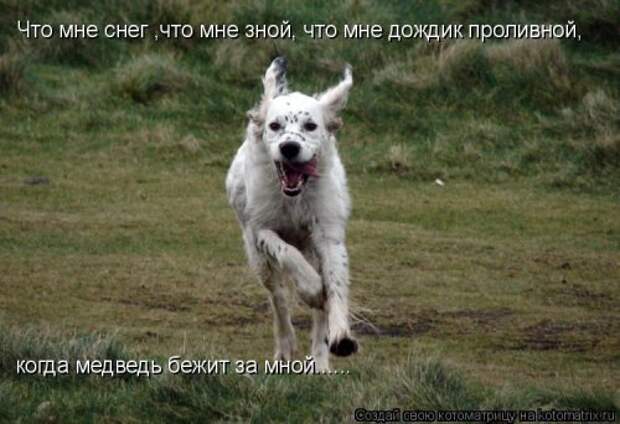 Давайте улыбаться вместе! :) (52улыбки)