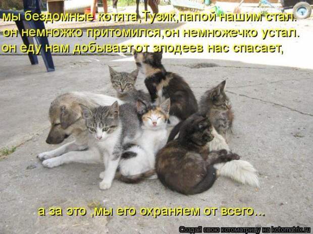 Мысли вслух :)