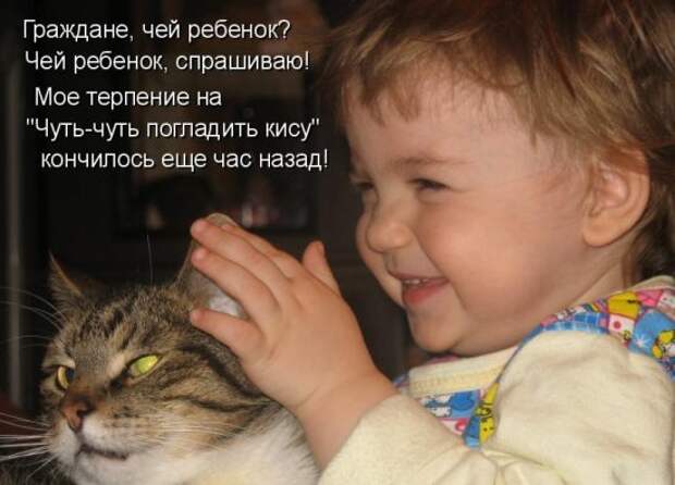 Котоматрица 14