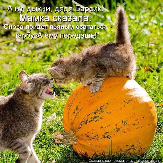 Мысли вслух :)