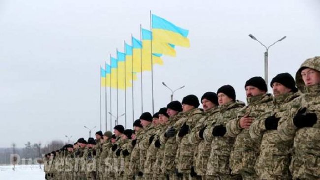 Турция бесплатно оденет украинскую армию Турция бесплатно оденет украинскую армию