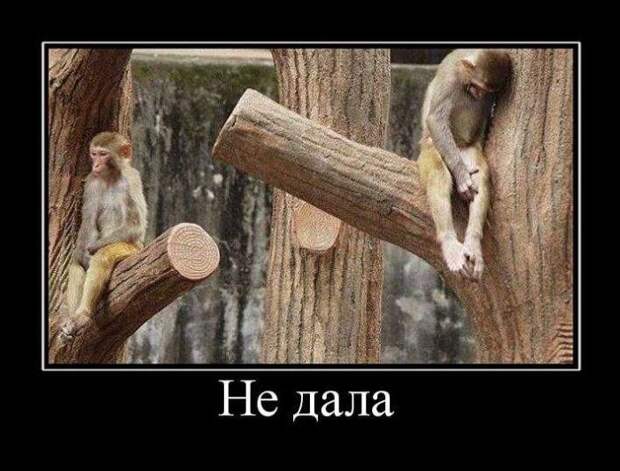 Сборник моих демотиваторов демотиватор, сборник
