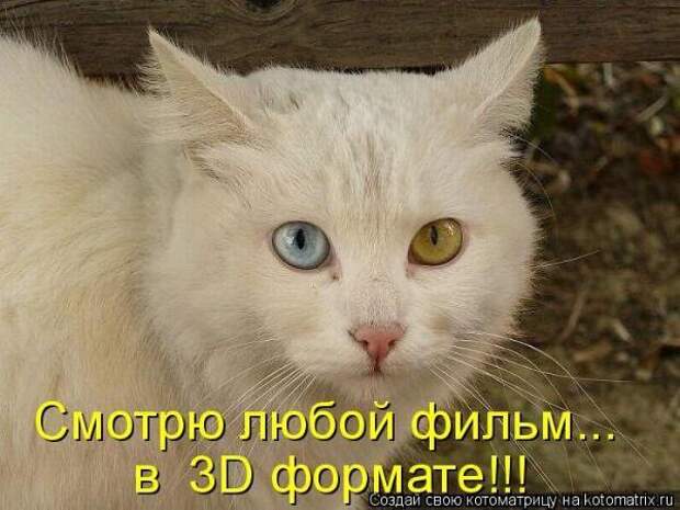 Котоматрица Котоматрица