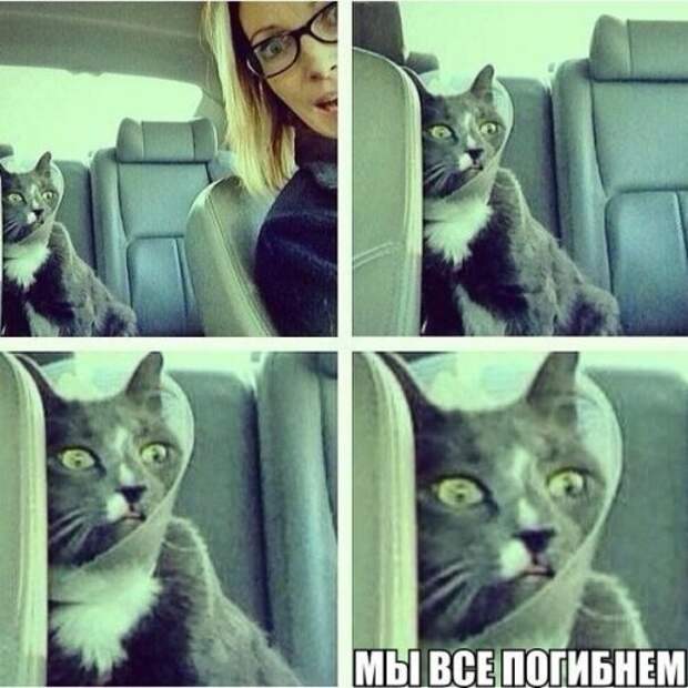 Автоприколы для всех (21 шт)