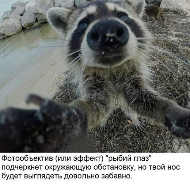 Уроки выполнения себяшек селфи, урок