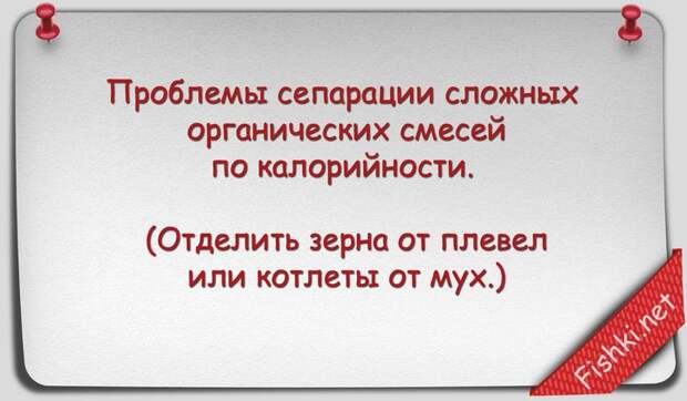 Русские пословицы и поговорки научным языком наука, поговорки, пословицы