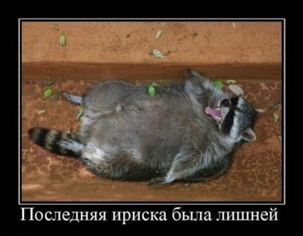 Демотиваторы много, свежие.