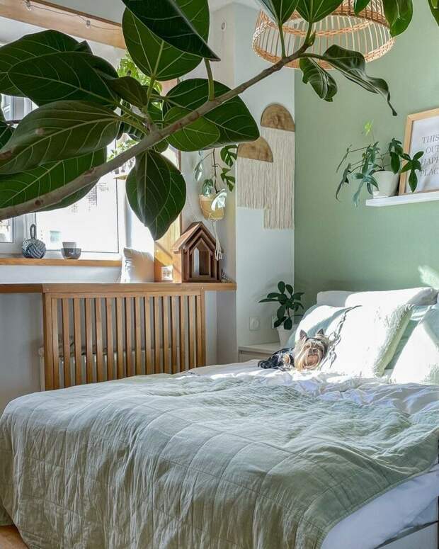 В этой малогабаритке дружно уживаются и супруги, и их увлечения, и даже три веселых йорка. Один из секретов гармонии — грамотное зонирование пространства, свойственное скандинавскому стилю.-3-2