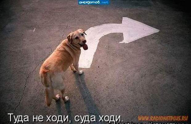 Мысли в слух