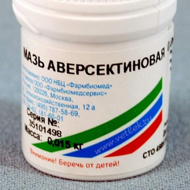 Чем опасен нотоэдроз у кошек?