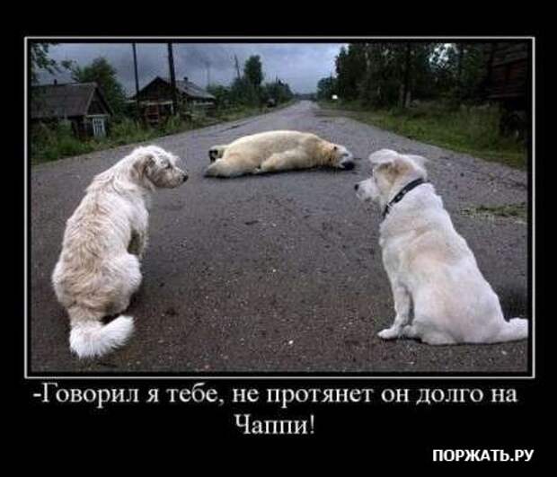 Демы свеженькие
