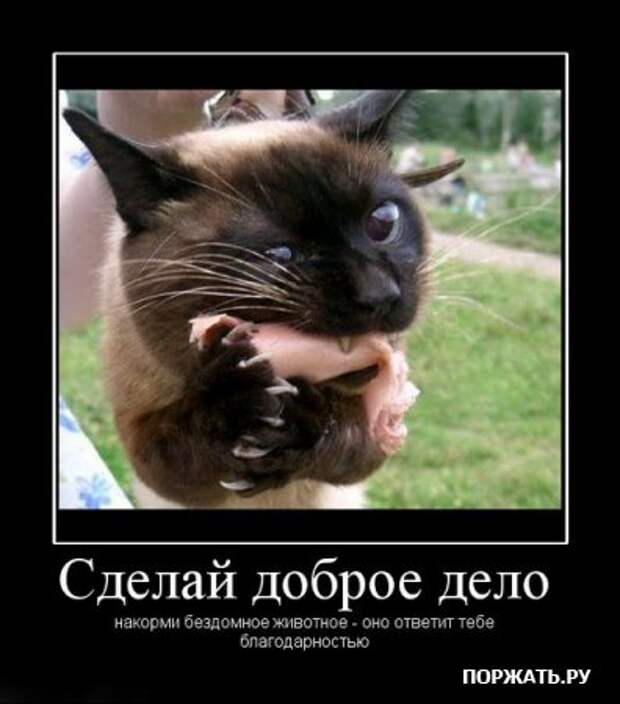 демотиваторы картинки
