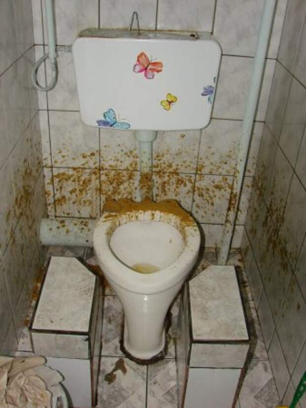 33.34 КБ