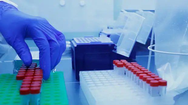 В Колумбии за сутки выявили более 2 тысяч случаев коронавируса