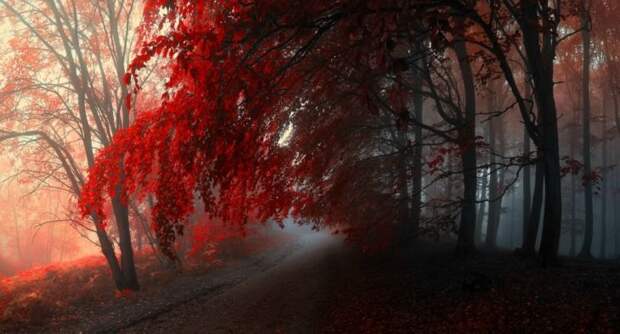 Красивые фотографии чешского фотографа Janek Sedlar