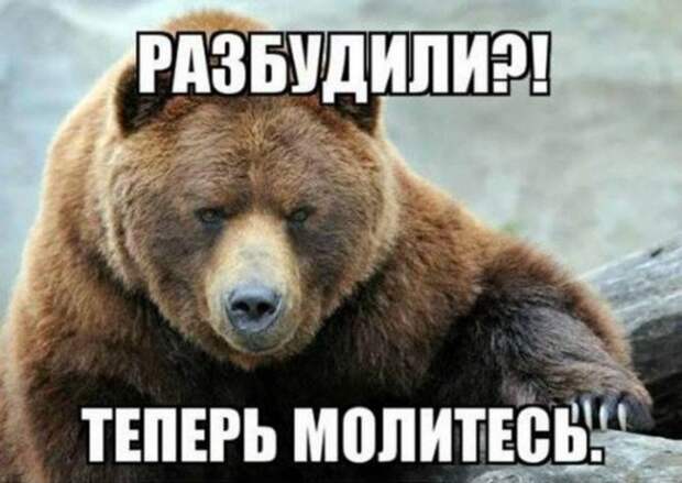 Россия изменила мировой порядок: "Я знаю сотни способов вытащить русского медведя из берлоги, но ни одного — чтобы загнать его обратно"