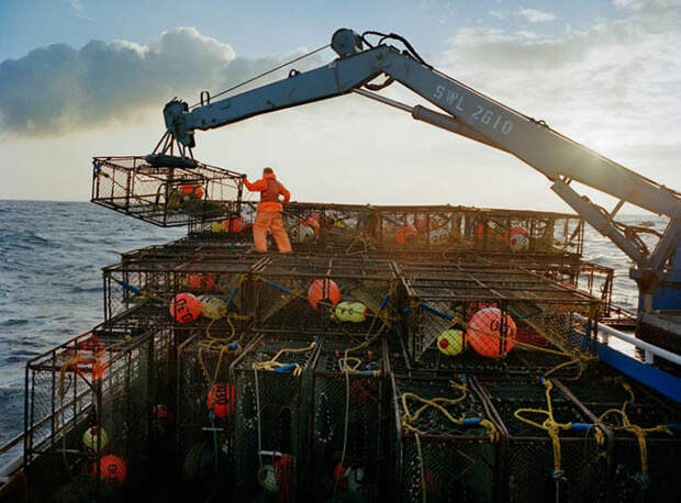 Как добывают крабов и рыбу в Беринговом море