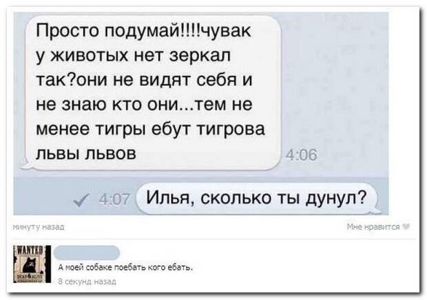 Сногсшибательные комментарии из соцсетей Сногсшибательные комментарии из соцсетей