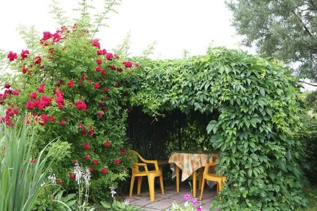 getImage51 (640x427, 230Kb)