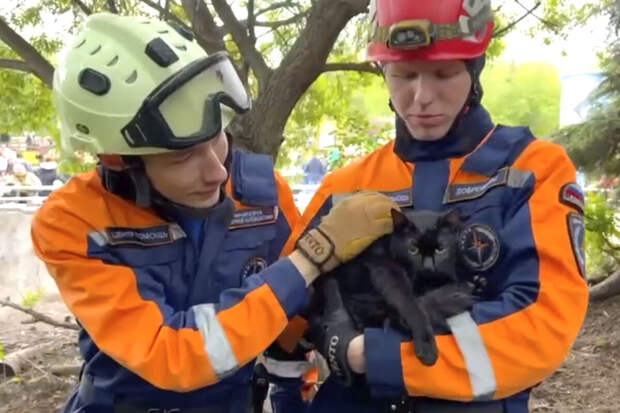 В Московском зоопарке кота спасли из вольера с волками