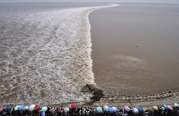 А вот туристы собрались на берегу реки Цяньтан в Китае, чтобы посмотреть на приливную волну