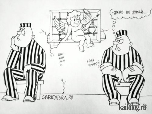 Эротические картинки и карикатуры (50 картинок)