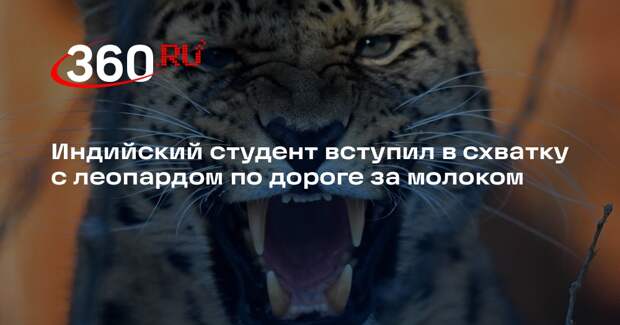 Hindustan Times: студент 18-ти лет одолел напавшего на него леопарда