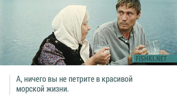 20 незабываемых цитат из фильма "Любовь и голуби" 20 незабываемых цитат из фильма "Любовь и голуби" Любовь и голуби, кино, цитаты