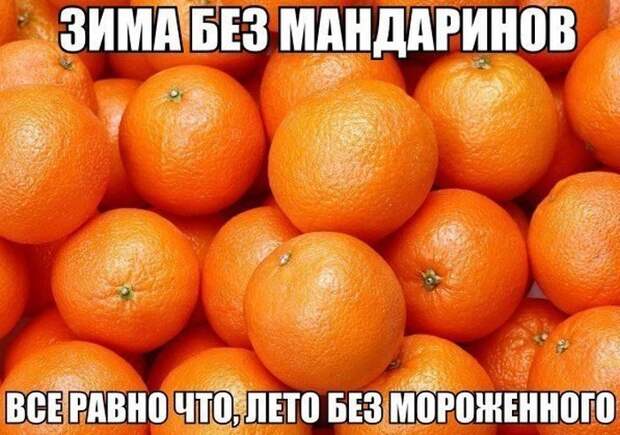 Картинки со смешными подписями